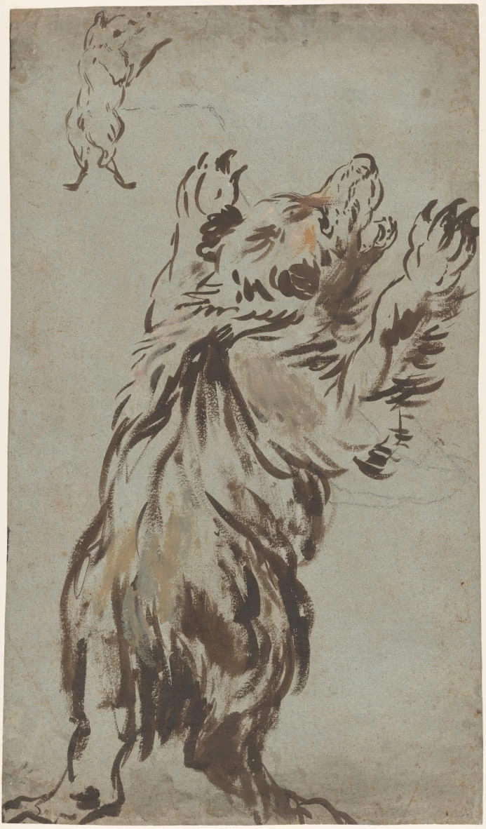 Studio di orso - National Gallery of Art